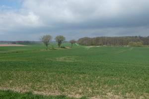 Landschaft Pilgerweg