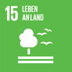 SDG-DE-15